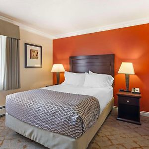 Apartment Queen Bed Sofa Bed Pet Friendly